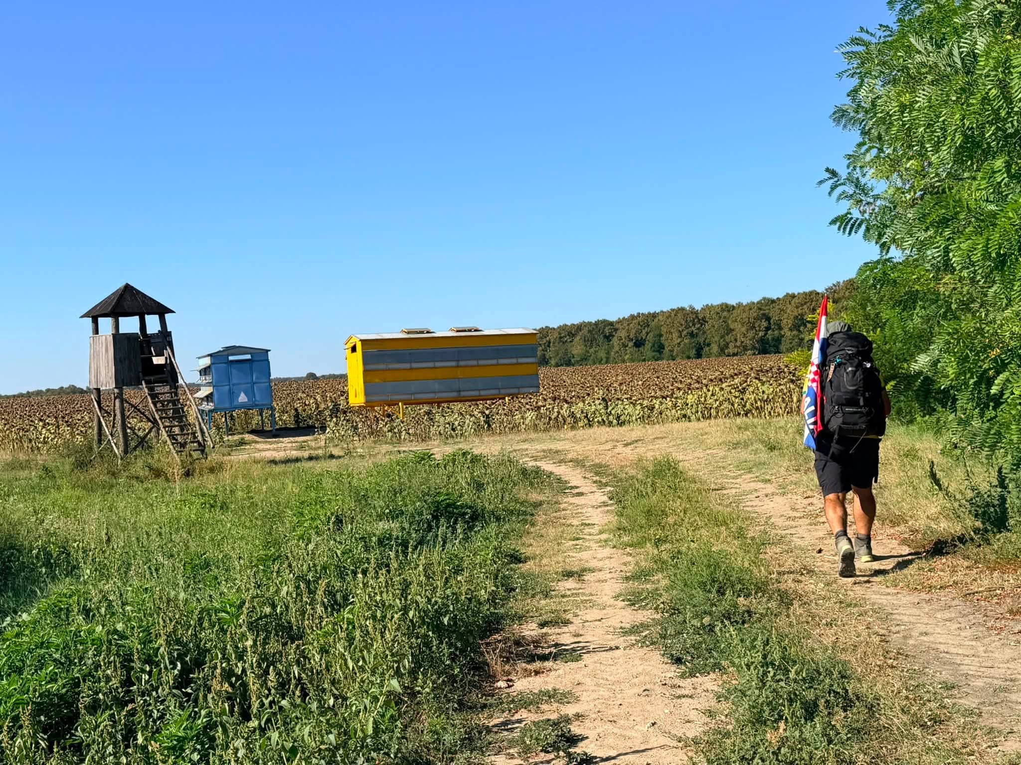 IZMEĐU DVA DOMA – DAN 8